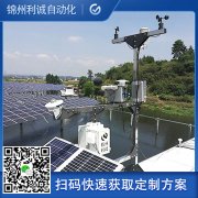 訂做校園小型蜜桃视频在线免费看