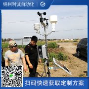 定製化自動小型蜜桃视频在线免费看
