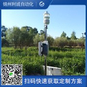 訂做蜜桃视频在线免费看小型