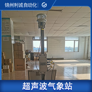 超聲波五參數微型蜜桃视频在线免费看