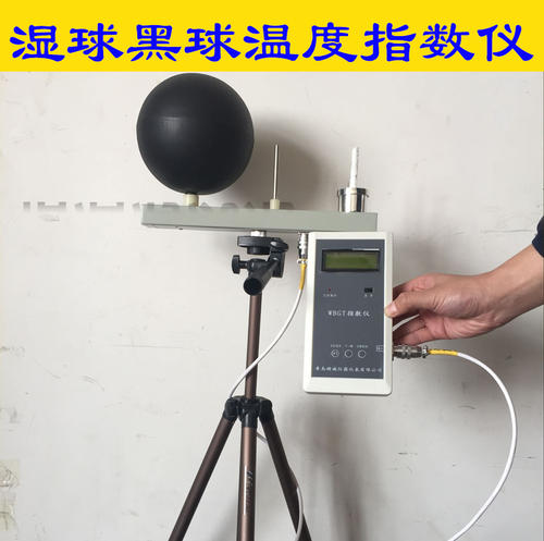 無線黑球溫度記錄儀必看