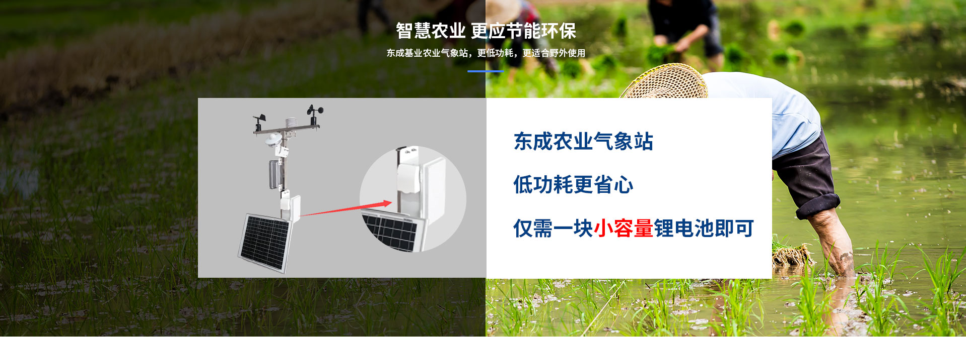 物聯網蜜桃视频在线免费看