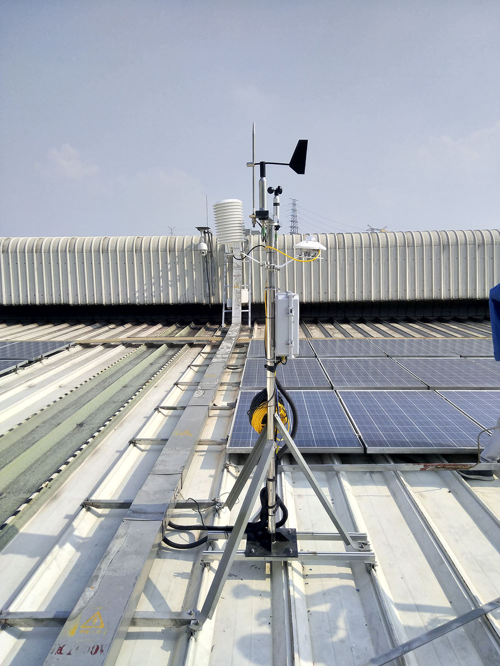 內蒙古蜜桃视频在线免费看品牌