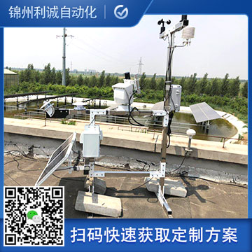定製化多參數蜜桃视频在线免费看