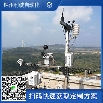 定製化手持蜜桃视频在线免费看